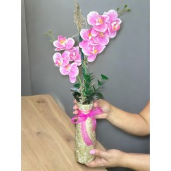 HAPPINESS FUCSIA 01