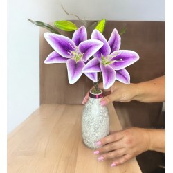 DOS LILYS