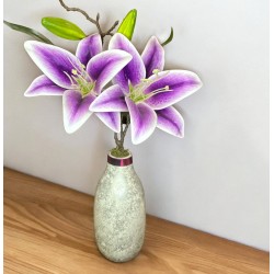 DOS LILYS