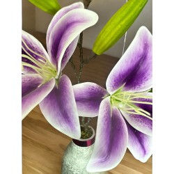 DOS LILYS