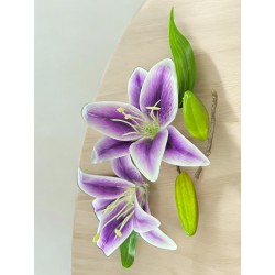 DOS LILYS