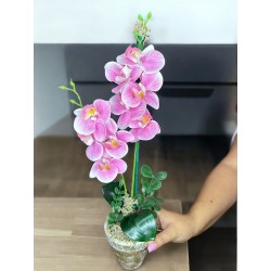 HAPPINESS FUCSIA 02