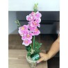 HAPPINESS FUCSIA 02