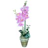 HAPPINESS FUCSIA 02