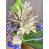 LITTLE LAVANDER