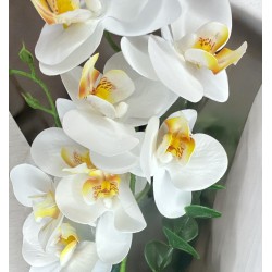 HAPPINESS  BLANCA 02